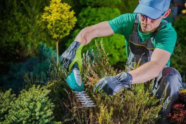 landscaping services Sicily Island